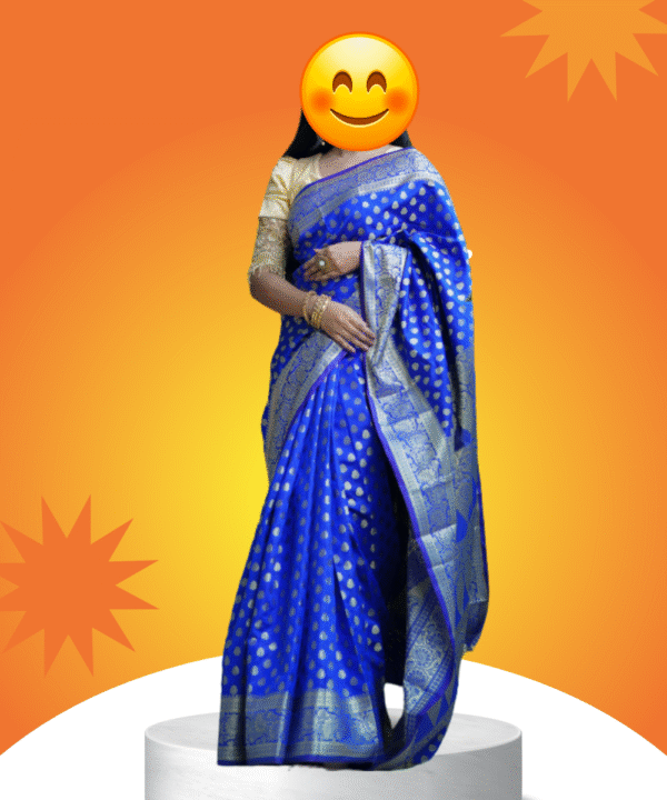 Nil Katan Saree